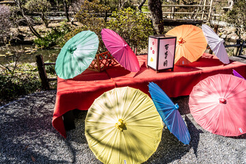 Traditional Japanese umbrellas and a bench installed in the Hundred Herb Garden_03