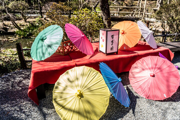 Traditional Japanese umbrellas and a bench installed in the Hundred Herb Garden_01