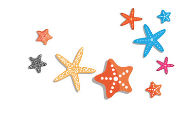 Starfish vector set in different shapes and colors. Flat vector in cartoon style isolated on white background.