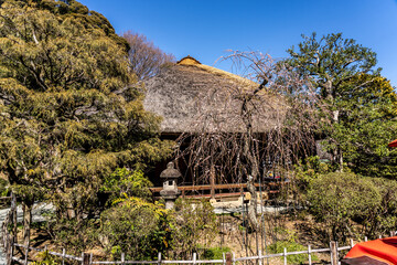 An old traditional Japanese farmhouse built in the Hundred Herb Garden_03