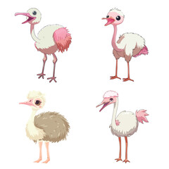 Kawaii Ostrich illustration Vector Bundle
