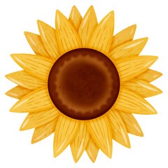 full bloom sunflower illustration