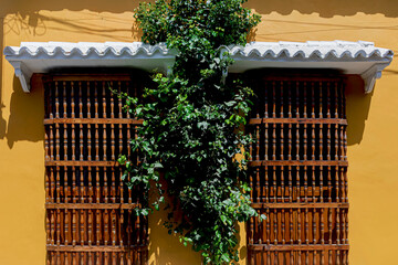 Colonial and typical wooden windows in the historic center of Cartagena, Colombia.
