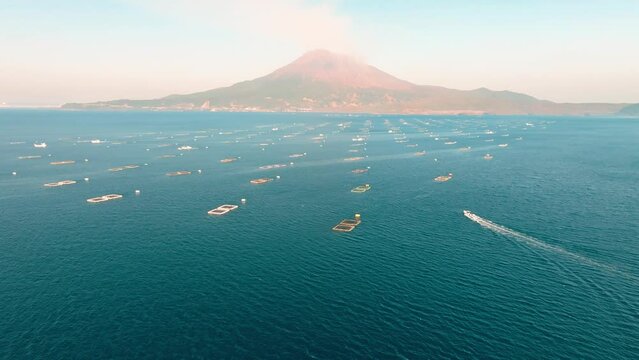 晴れた日の鹿児島湾の青い海と養殖生簀の間を桜島の火山に向かって進む漁船　空撮