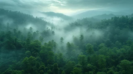 Foto op Canvas  a forest filled with lots of green trees covered in a blanket of fog and smoggy clouds above a forest filled with lots of green trees covered in fog. © Marcel