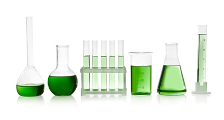 Laboratory glassware with green liquid isolated on white