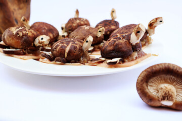 Shiitake mushrooms in the form of turtles are placed on top of minced pork and chicken ham in a plate on a white base.