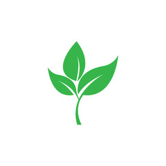 Leaves icon vector set isolated on white background. Various shapes of green leaves of trees and plants. Elements for eco and bio logos.