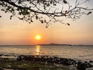 Sunset on the sea, tree, orange color, sea, island