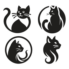 Fototapeta premium black and white cat