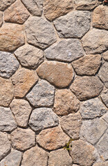 Surface texture built with irregularly shaped stones and a small plant