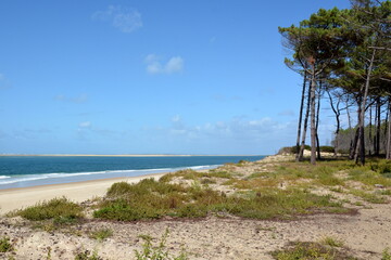 France, Aquitaine, la Teste de Buch, sur la côte atlantique au sud du bassin d'Arcachon la plage de la lagune, bordée d'une magnifique pinède.
