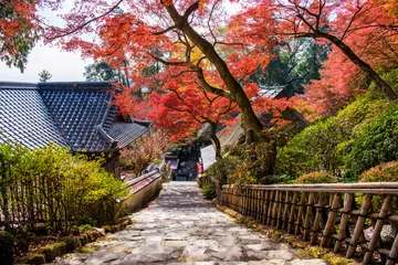  佐賀県　大興善寺の紅葉 © tetsuya