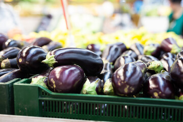 Fresh purple eggplant on market counter