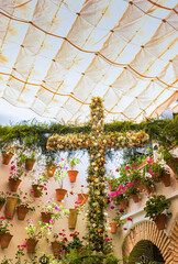 festividad religiosa De la Cruz de Mayo que se celebra en Andalucía confeccionando una gran cruz con flores