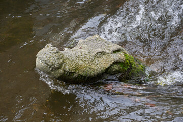 Sculpture de crocodile dans une rivière