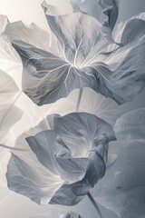 Beautiful paper Capillary Effect lotus flower on a grey background for design or wedding, event background