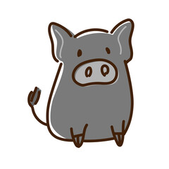 黒色のマイクロブタ