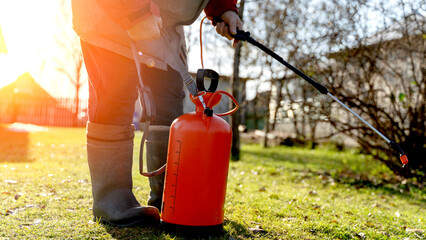 A gardener sprays plants against insects in the garden