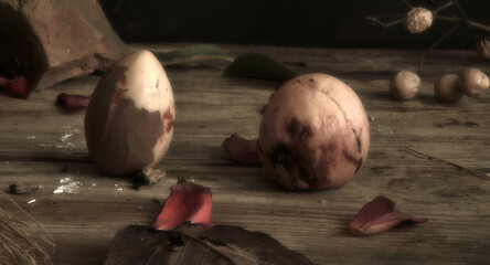 Still life photography - century ago style