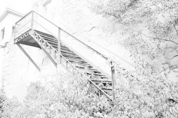 black and white picture of overgrown stairs outside of a abandoned building