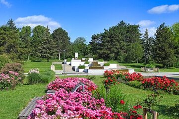 Roses flowers and fountain Donau park in Vienna spring season