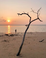Sunset at Nai Yang beach in Phuket islands, Thailand.