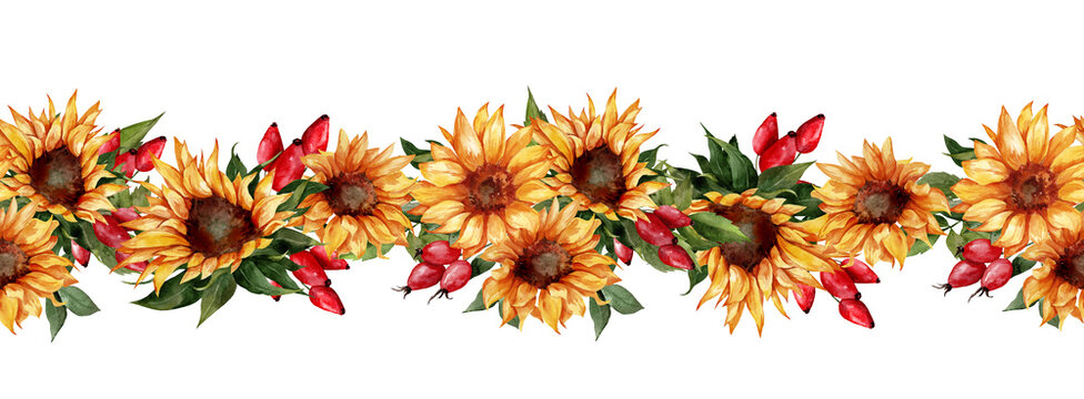 Seamless watercolor border with sunflowers and red berries. Bright autumn frame for design and invitations
