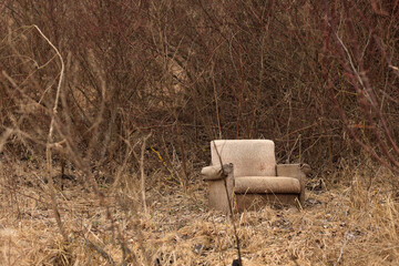 Alone arm-chair on dry grass outdoors