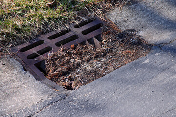 Roadside sewer drain blocked by debris
