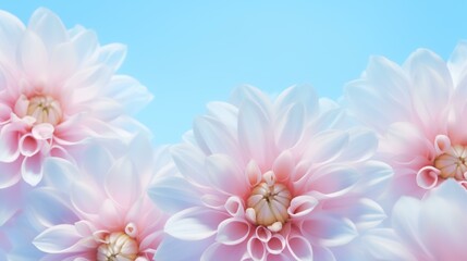 Abstract pink dahlia patels on pastel blue background