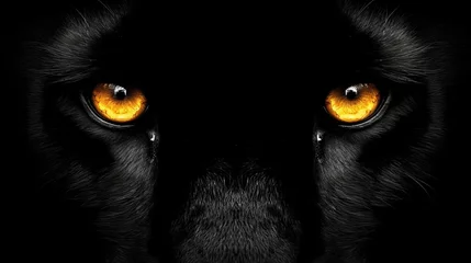 Fototapeten Intense close up of a majestic black panther s piercing eyes gazing intensely in the darkness. © Ilja