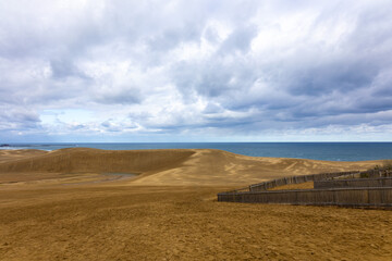 砂丘の先に見える海