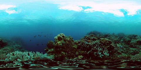 Fototapeta na wymiar Underwater life in the ocean with beautiful coral reef and fish. 360-Degree view.