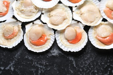 Fresh raw scallops with shells on black textured table, flat lay. Space for text