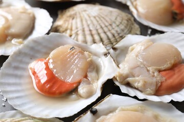 Fresh raw scallops with shells on table, closeup