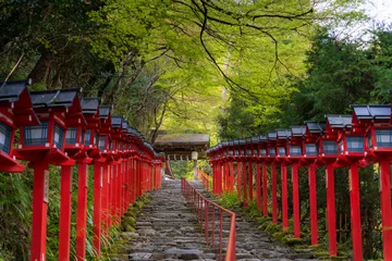 Deurstickers 貴船神社　新緑の参道と春日灯籠 © ANSHIN