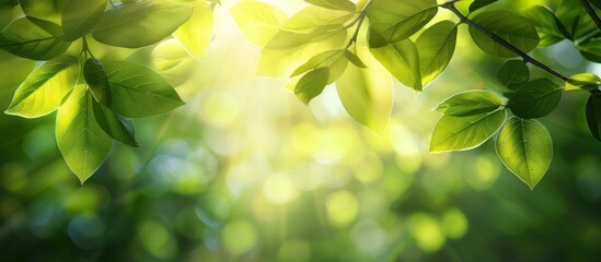 Green leaves foliage in natural morning blur background. Generated AI image