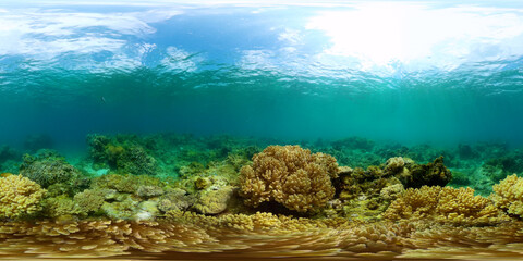 Naklejka na ściany i meble Underwater life scene. Colorful tropical fish and corals. Marine sanctuary, protected area. 360-Degree view.