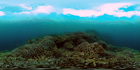 Marine sanctuary. Tropical coral reef and fish underwater. 360-Degree view.