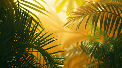 Fototapeta premium The rich greenery of palm and monstera leaves is bathed in a golden glow, with sparkling light creating a magical and warm tropical ambiance.