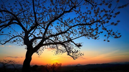 Fototapeta na wymiar Blossoming tree at sunset. Generative AI