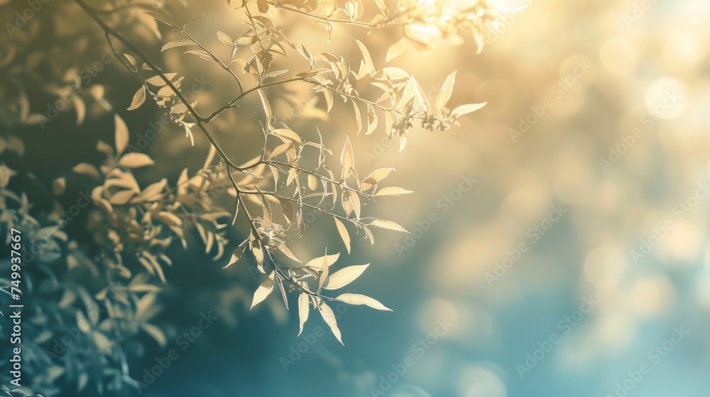 Poster golden sunlight filters through delicate leaves, creating a tranquil bokeh effect in the soft-focus 
