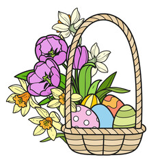 Basket  full of painted Easter eggs with tulip and narcissus flowers color variation on a white background