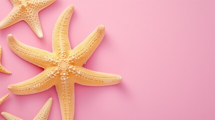 Fototapeta na wymiar Starfish on a vibrant pink background