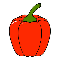 red pepper illustration hand drawn isolated vector