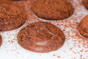 Cocoa dusted chocolate truffles on dish, close-up, selective focus