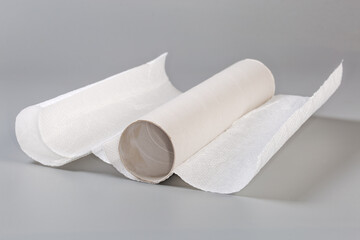 Leftover paper towels on cardboard tube on a gray surface
