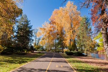 Fototapeta na wymiar Section of local asphalt road next lake in autumn park
