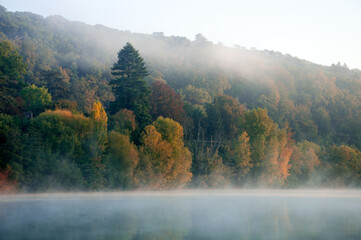 Forêt d'automne se reflétant dans un cours d'eau, dans la brume et le brouillard